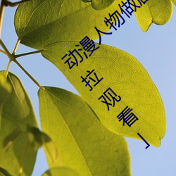 动漫人物做剧烈运动打扑克漫画免费阅读「下拉观看」