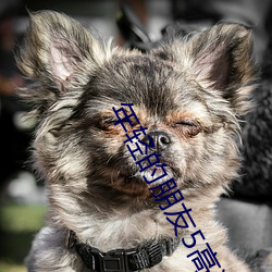 年(年)轻的(的)朋友5高(高)清免(免)费观看