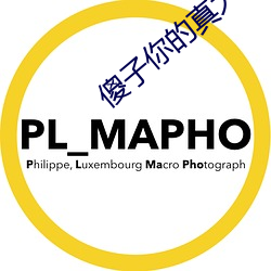 傻子你的真大第一章