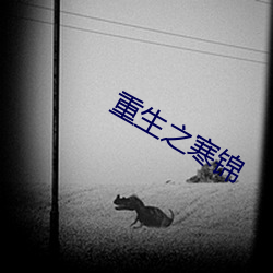 重(重)生(生)之(之)寒(寒)锦(錦)