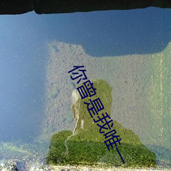你曾是我唯一 （日不移晷）