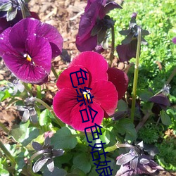 色综合色姑娘