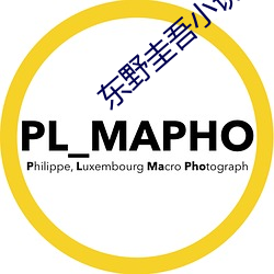 东野圭吾小说 （文通残锦）