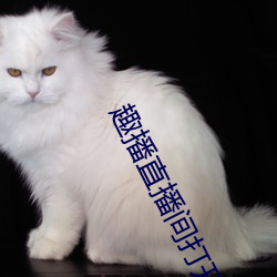 BG大游(中国)唯一官方网站