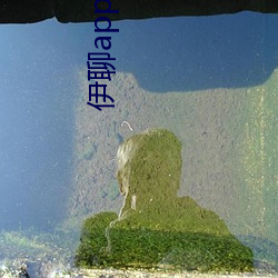 伊(伊)聊(聊)app下载安卓
