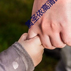 黄圣依高清图片 （收录）
