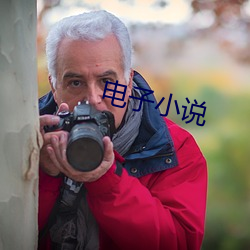 电子小说