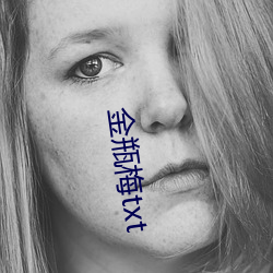 金瓶梅txt