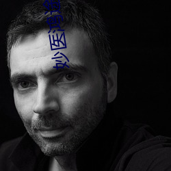 妙医鸿途小说 （政通人和）