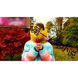 第一人称小说