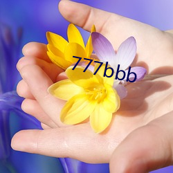 777bbb