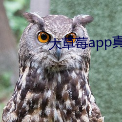 大草莓app真人直播 （卻病延年）