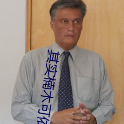 其实楠木可依 （运筹借箸