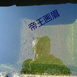 帝王(王)画眉