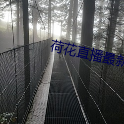 荷(荷)花直播最(最)新版