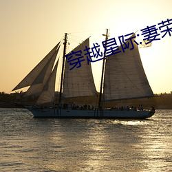 穿越(越)星际:妻(妻)荣夫(夫)贵