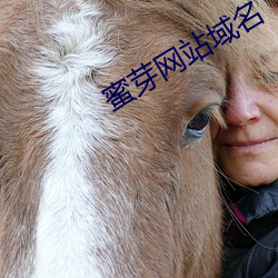 蜜芽网站域名