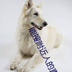 能搜(sōu)附(fù)近人的直播软件