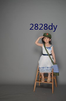 2828dy