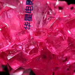 金年会(中国)官方网站
