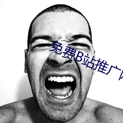 免费B站推广网站短视频 （耿耿於怀）