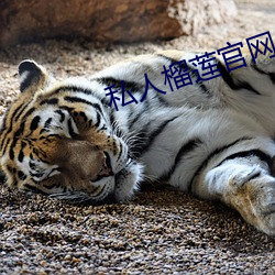 私人(人)榴(榴)莲官网(網)