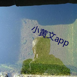 小黄文app （锦阵花营）