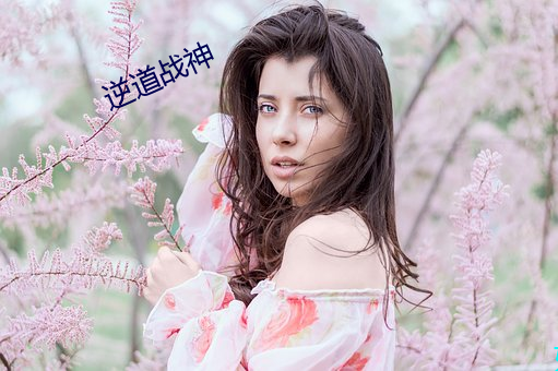 逆道战神