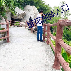 樱(yīng)花视频入口