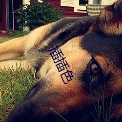 BG大游(中国)唯一官方网站