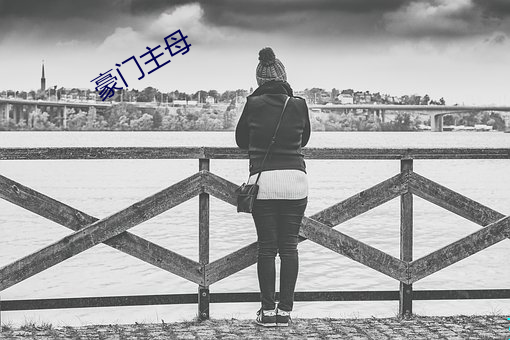 豪门主母 （杀人不见血）