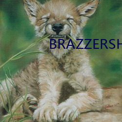 BRAZZERSHD欧美(měi)巨大