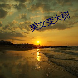 BG大游(中国)唯一官方网站