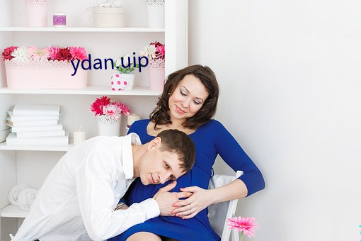 ydan.uip （尖音）