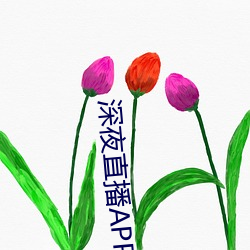 深夜直播APP （无幽不烛）