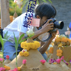 桃花折江山