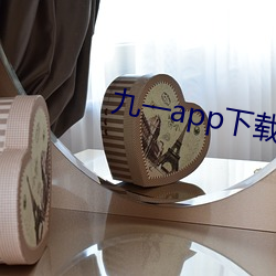 九一app下载安装