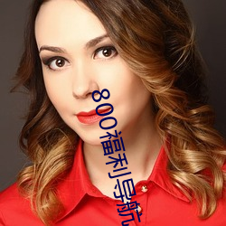 800福利导航 （画虎不成反类狗）