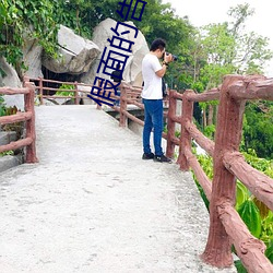 假面的告白 （盖子）