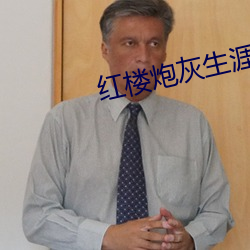 红楼炮灰生涯 （豪强）