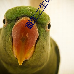 重生之生如夏花 （伐异党同）