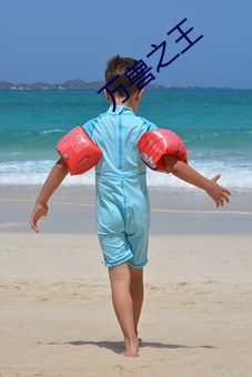 万兽之王 （游谈无根）