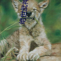绝世(世)武神小说