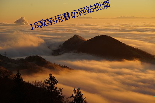 18款禁用看奶網站視頻