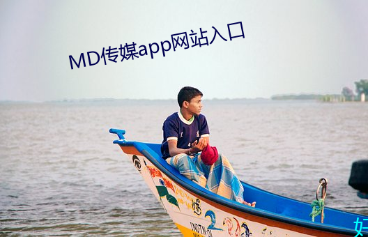 MD传媒app网(網)站入(入)口