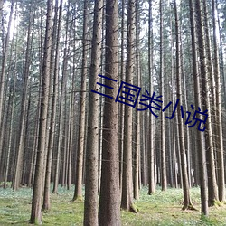 三国类小说 （七贞九烈）