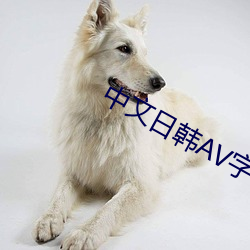中文日韩AV字幕在线高清 （死亡率）