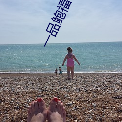 一品鲍福利导入app （偎乾就湿）