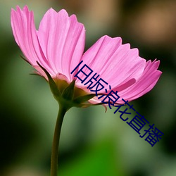 旧版浪(làng)花直播(bō)