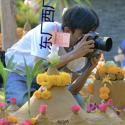 东厂西厂电影